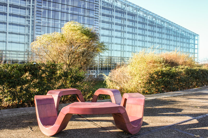 Flowers Bench